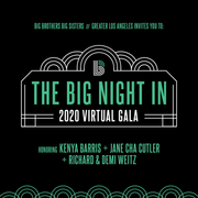 Featured Client Project: Big Night In Gala (Big Brothers Big Sisters)