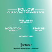 Featured Client Project: Intrizen