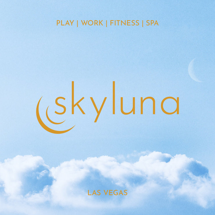 Featured Client Project: Skyluna